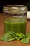 Basil Oil with Basil